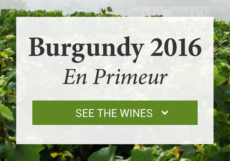 Burgundy 2016 En Primeur.