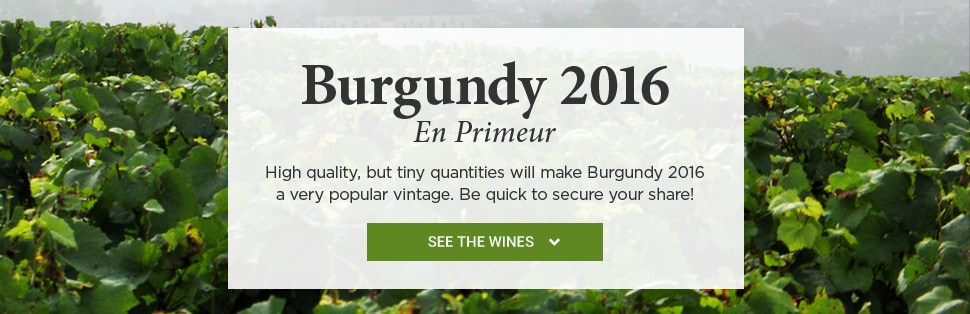 Burgundy 2016 En Primeur. High quality, but tiny quantities will make Burgundy 2016 a very popular vintage. Be quick to secure your share!