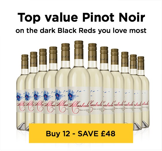 Top value Pinot Noir From New Zealand’s sunniest spot - Buy 12 – SAVE £48
