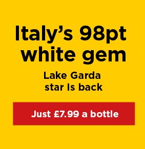 Italy’s 98pt white gem - Lake Garda star is back - Just £7.99 a bottle
