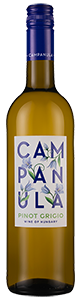 Campanula Pinot Grigio 2021