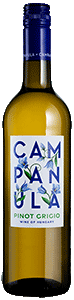 Campanula Pinot Grigio
