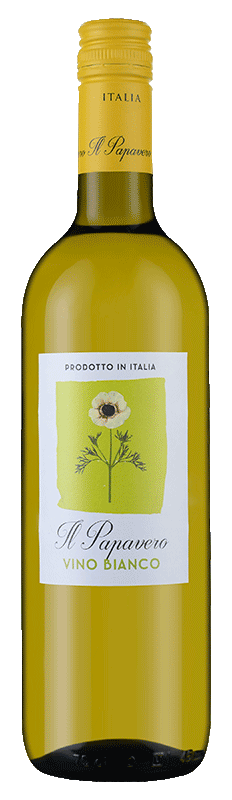 Il Papavero Bianco Il Papavero Bianco