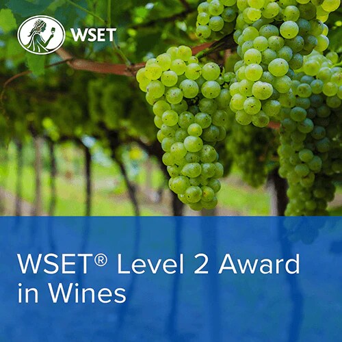 Wine School - WSET Level 2 in Wines January 2024, GLOUCESTER 