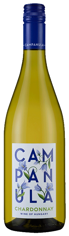 Campanula Chardonnay