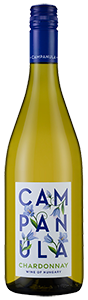 Campanula Chardonnay