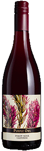 Purple Owl Pinot Noir