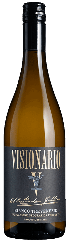 Visionario 2024