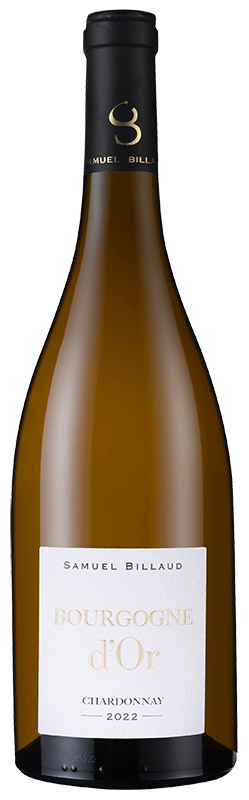 Samuel Billaud Bourgogne d'Or Chardonnay Samuel Billaud Bourgogne d'Or Chardonnay