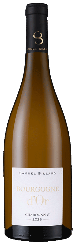 Samuel Billaud Bourgogne d'Or Chardonnay Samuel Billaud Bourgogne d'Or Chardonnay