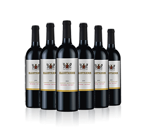 Illustrious Cabernet Sauvignon 2020 