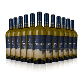 Aluado Chardonnay 2020 - delivery early April Aluado Chardonnay 2020 - delivery early April