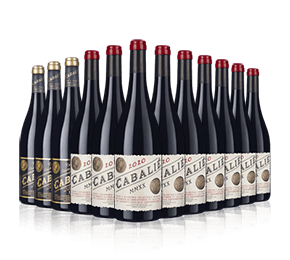 Cabalié Family Reds Mix 