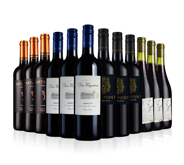 Chilean Reds Mix