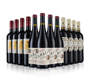 Bestsellers Sale Reds Mixes 