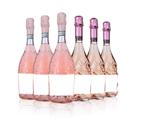 Pink Prosecco Mixed Six 