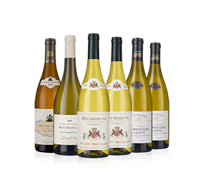 White Burgundy Six White Burgundy Six