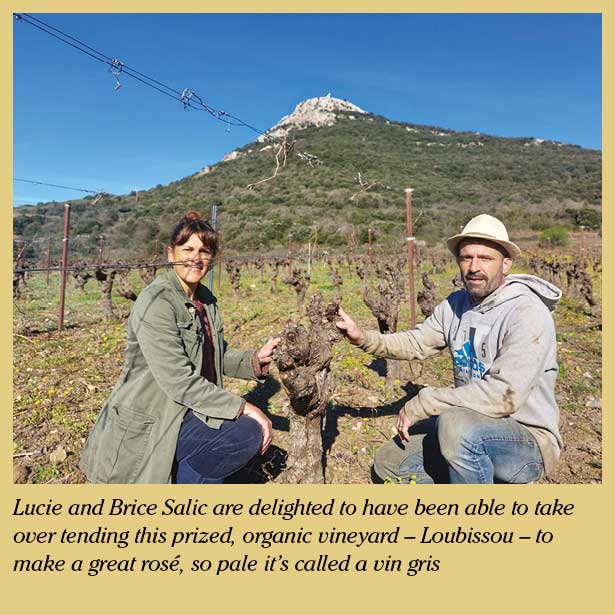 About the Producer